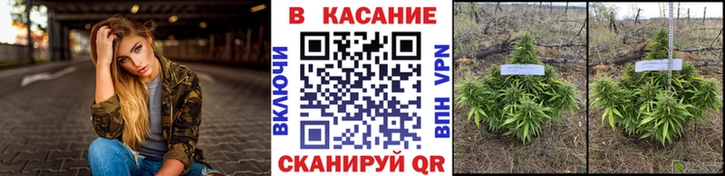 Купить наркотики сайты Заречный Конопля АМФ APVP ссылка на мегу вход Мефедрон Гашиш