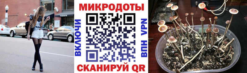 закладки  Заречный  Псилоцибиновые грибы мицелий 